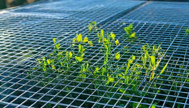 不锈钢丝网选型与维护的实用建议